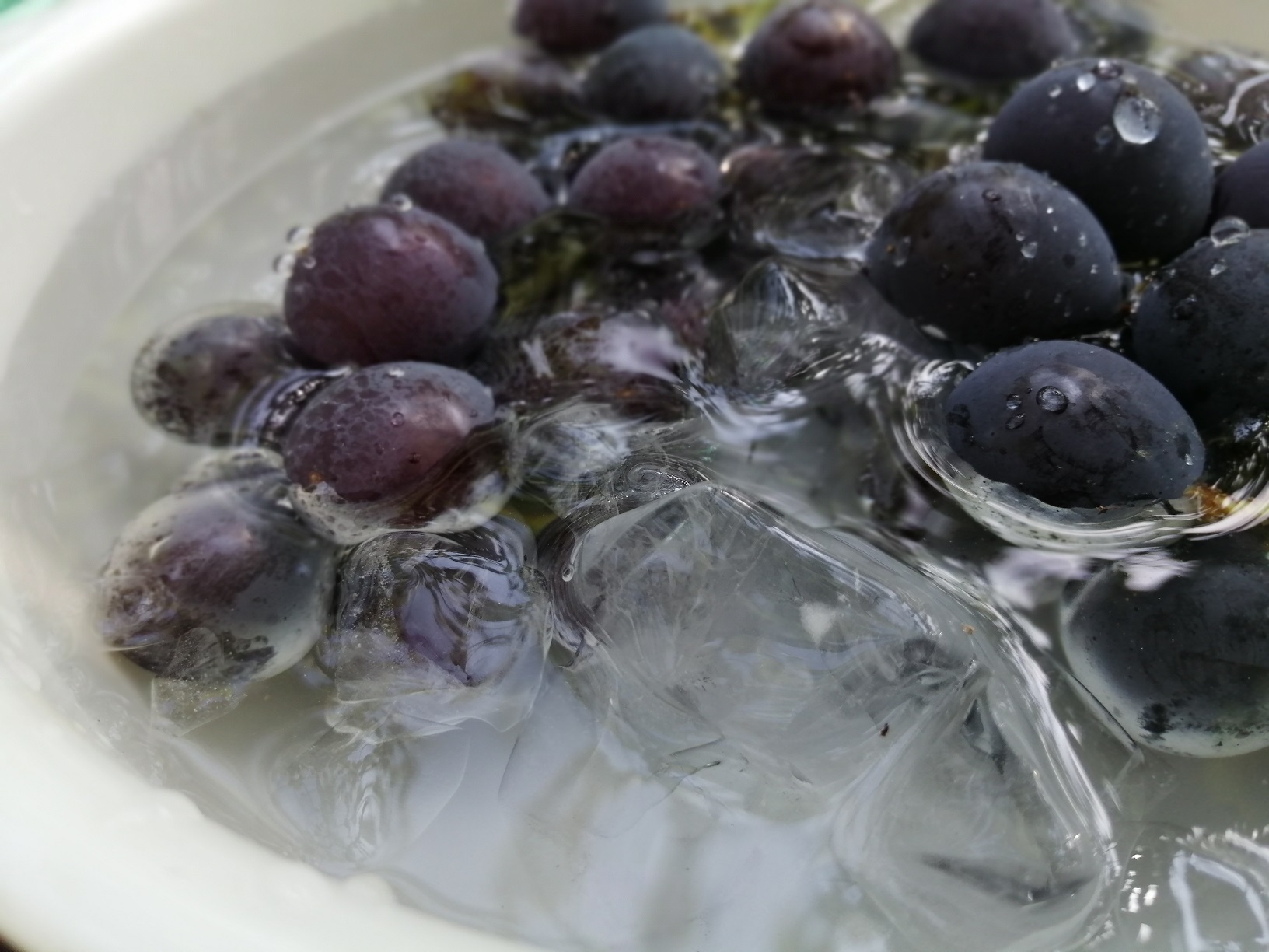 【小牧店】愛知県の葡萄狩り🍇名所