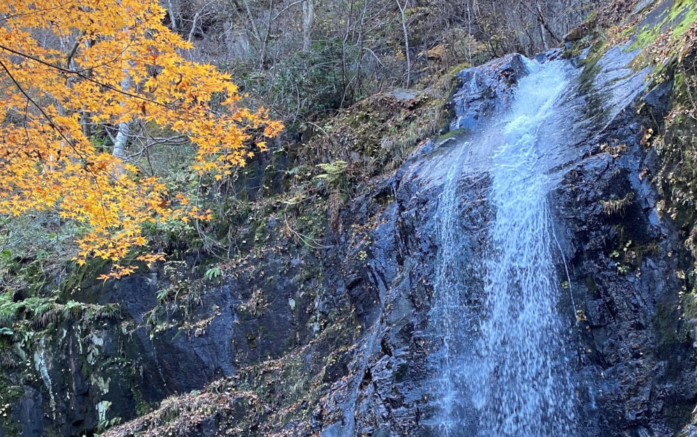【富山駅南店】宇津江四十八滝