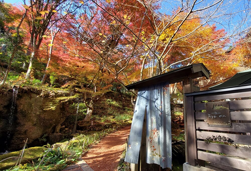 【本店】呂久沢の森-Ryo-an（了庵)(岐阜県瑞浪市/モーニング・ハイキング)