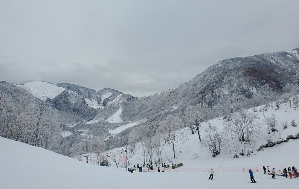 【本店】ほおの木平スキー場(岐阜県高山市)