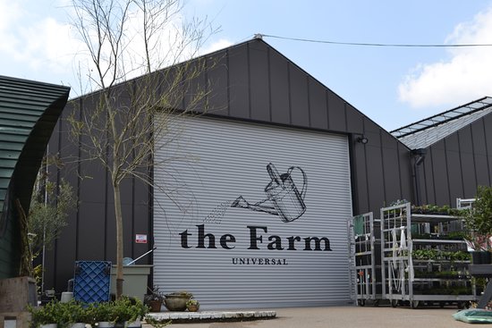 【宝塚店】the Farm UNIVERSAL