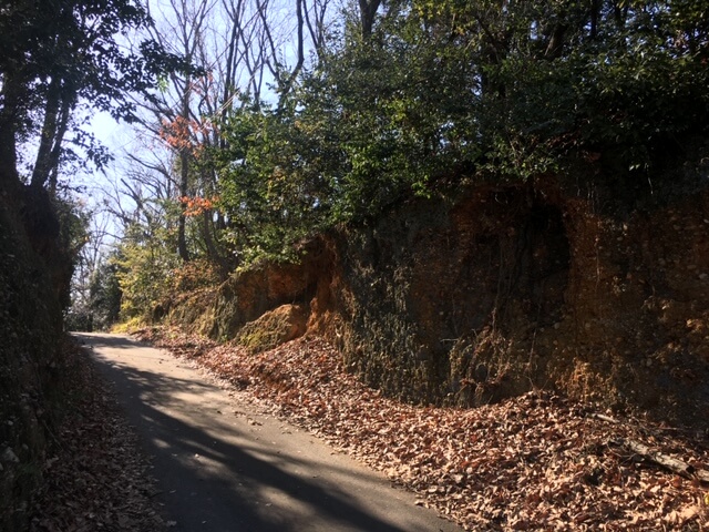 【名古屋中央店】軽自動車だからこそ・・・