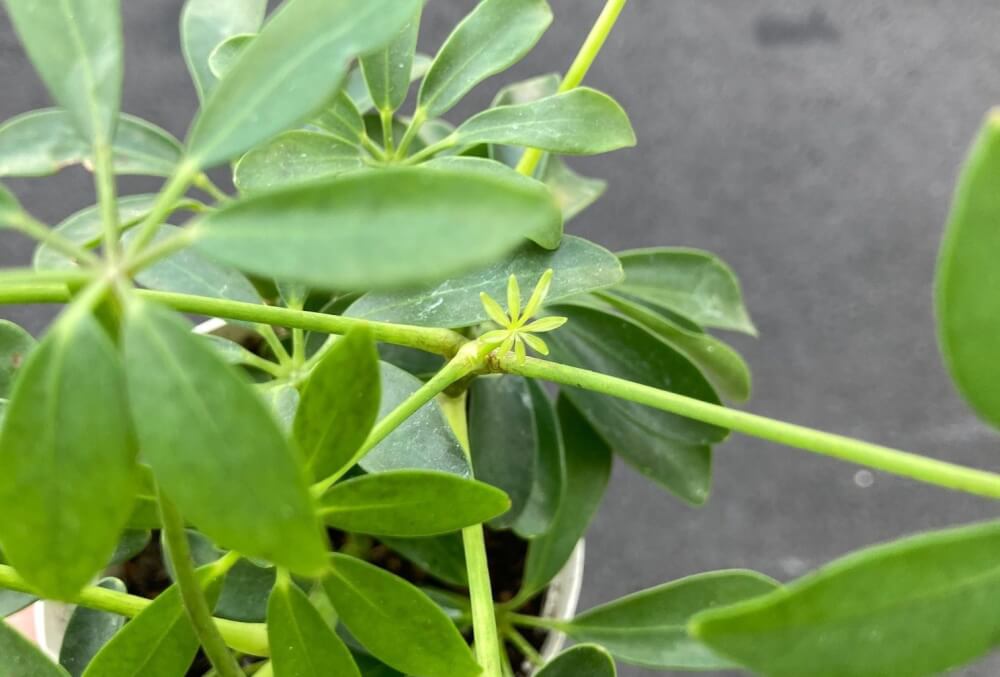 【大分駅前店】成長を感じました🌱