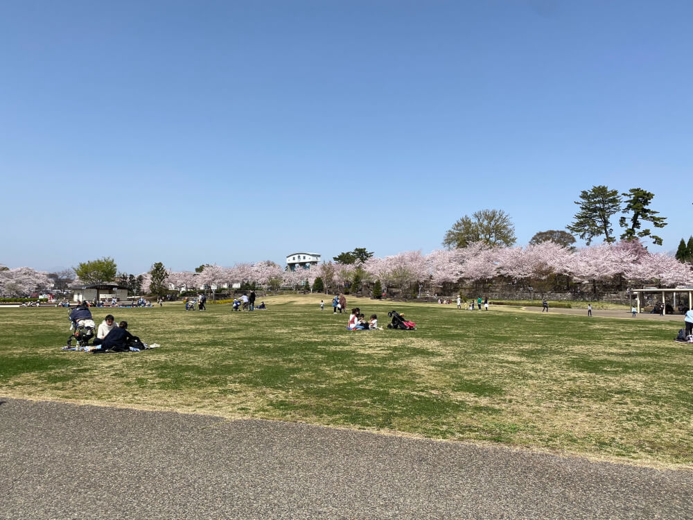 【新前橋駅前店】前橋市　楽歩堂前橋公園