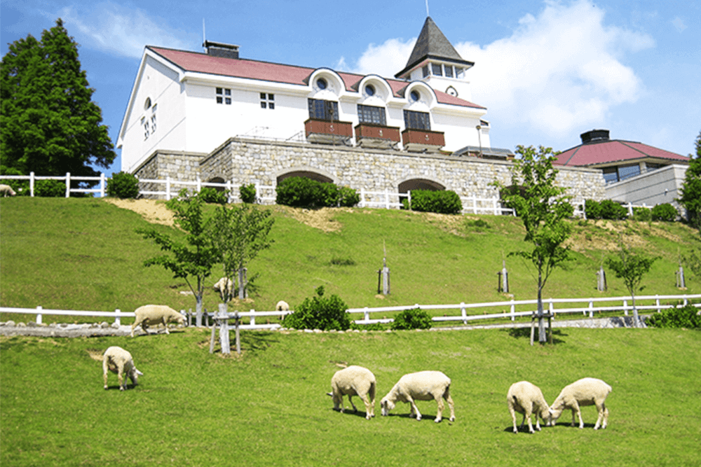 【兵庫駅店】自然がいっぱい六甲山牧場！！