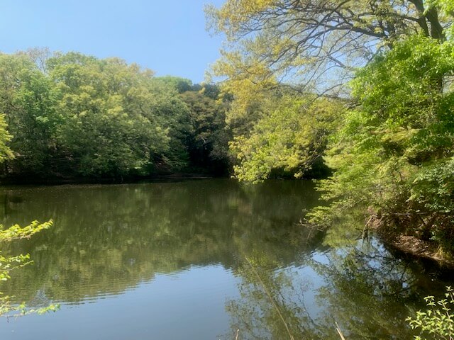 【秦野店】震生湖公園