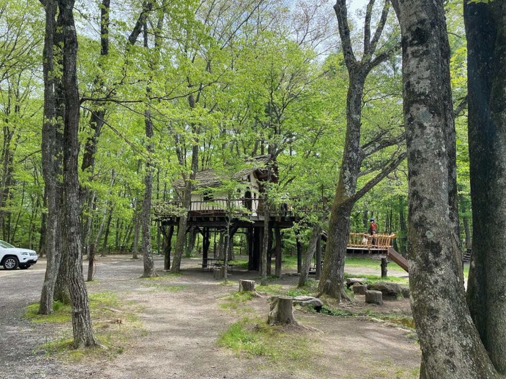 【新前橋駅前店】北軽井沢　スウィートグラス