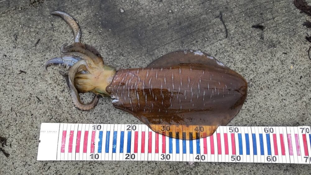 【大分駅前店】今回の釣果は…🎣