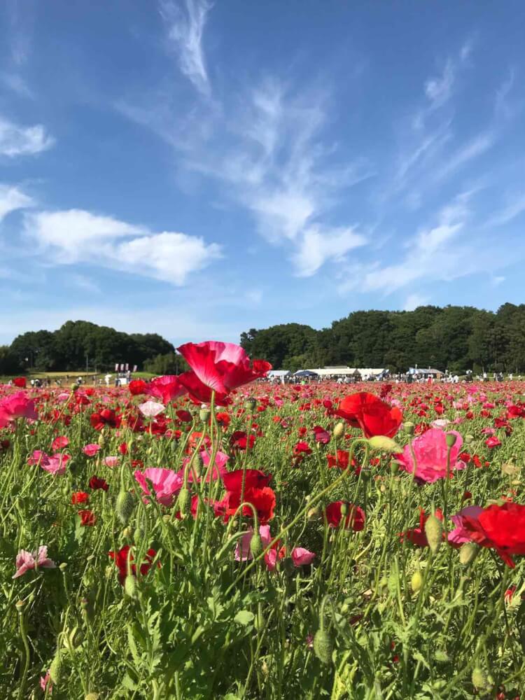 【鴻巣駅前店】埼玉の最強映えスポット！