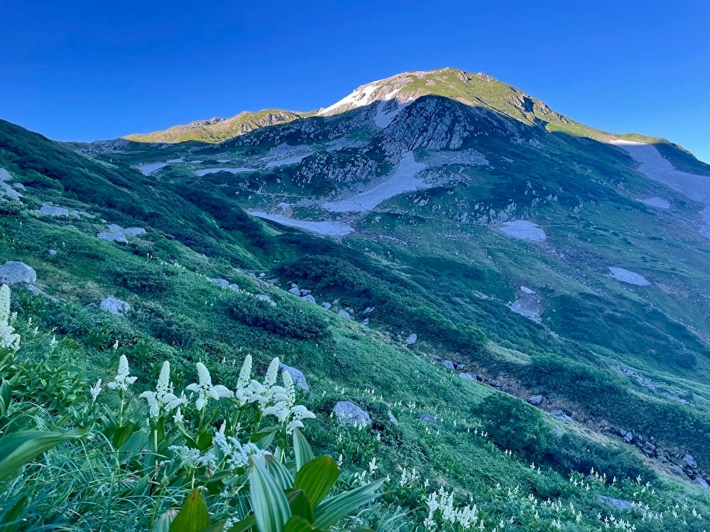 【本店】雷鳥沢キャンプ場→立山三山②(富山県)