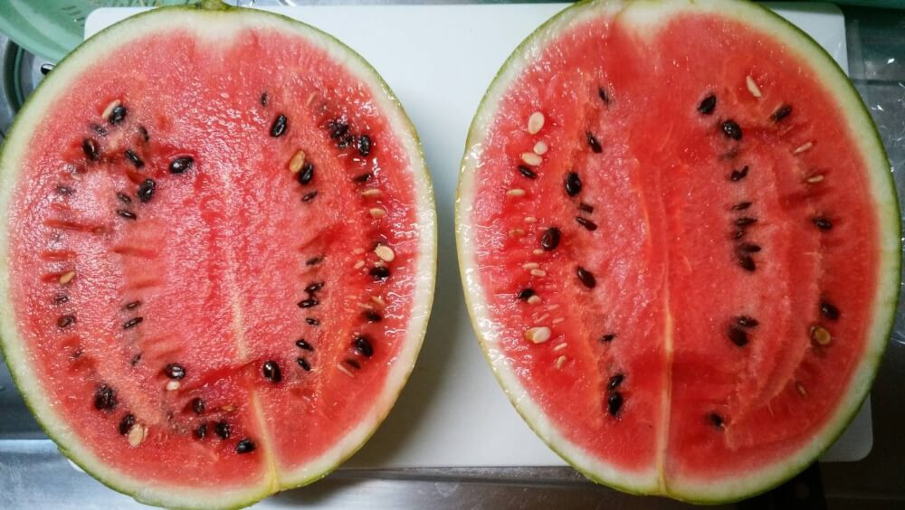 【大分駅前店】スイカを頂きました🍉