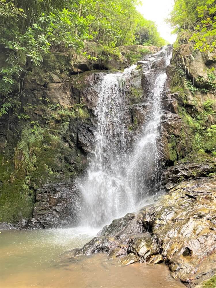 【新山口駅前店】癒しスポット＾＾