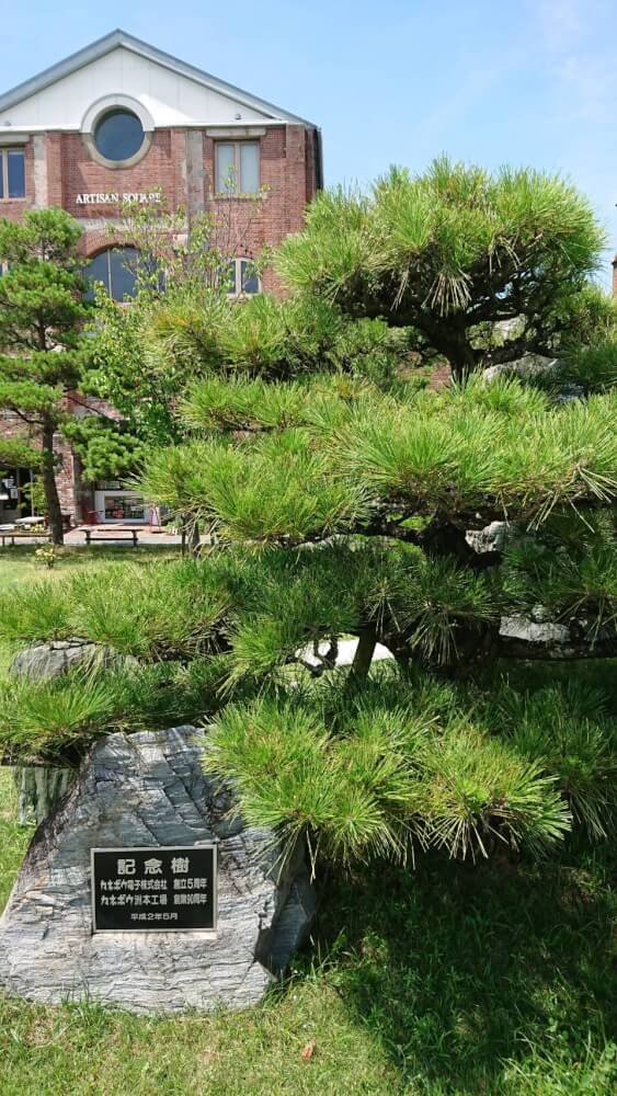 【枚方店】洲本市民広場にある記念樹（淡路市）