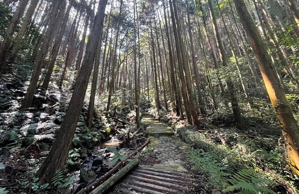 【本店】桑谷山(愛知県岡崎市)