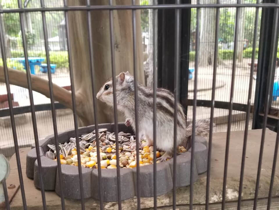 【小田原店】平塚市総合公園ふれあい動物園に行ってきました