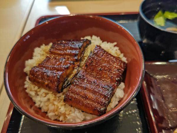 【松戸店】ウナギの価格破壊！名古屋錦のうな奏に行ってみた