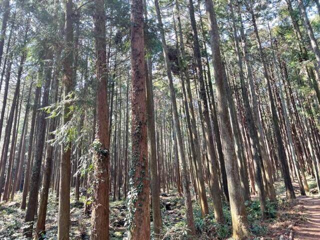 【小田原店】いこいの森 RECAMPおだわらに行ってきました