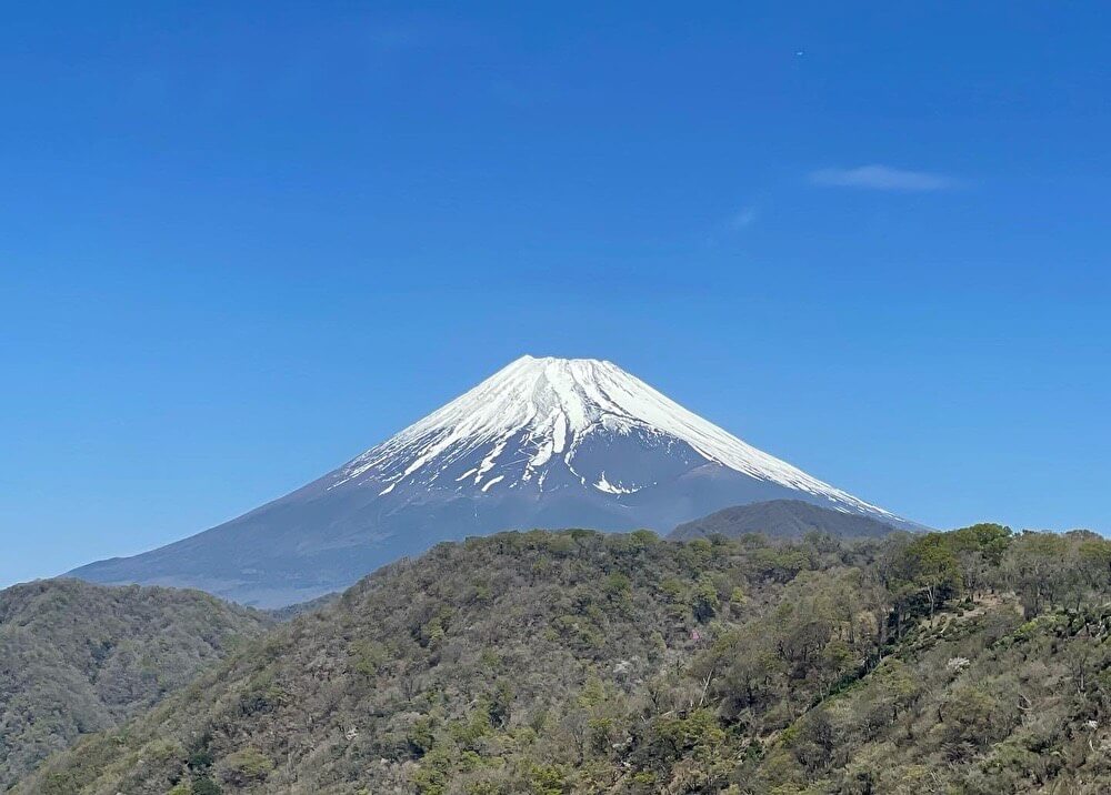 【本店】愛鷹山(静岡県沼津市)