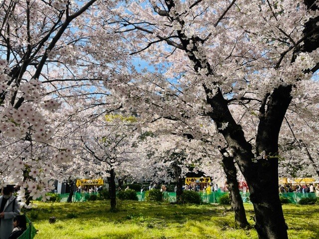 【名古屋ドーム前矢田店】鶴舞公園(愛知県/鶴舞駅)