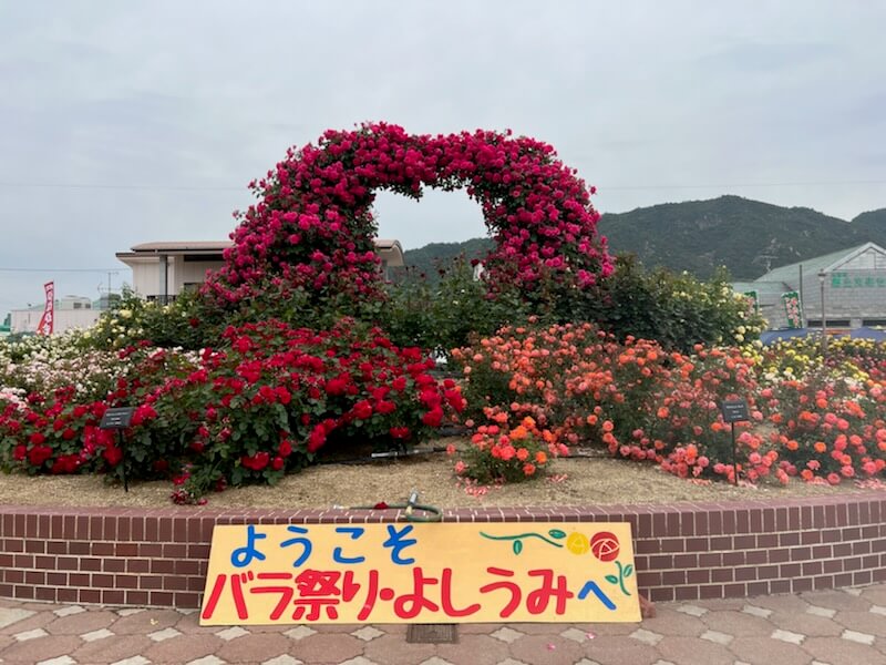 【今治店】大島バラ公園