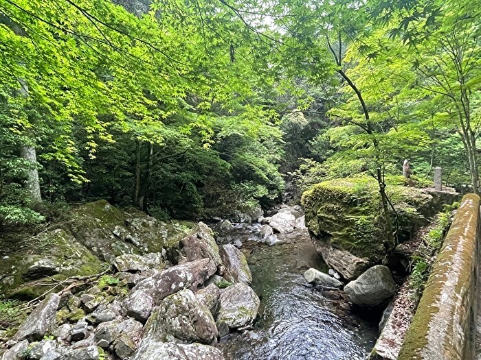 【本店】くらがり渓谷(岡崎市)