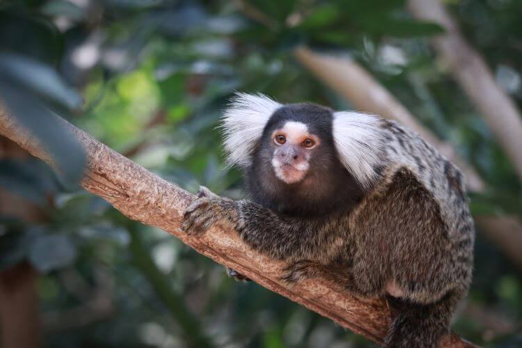 【兵庫駅店】神戸どうぶつ王国