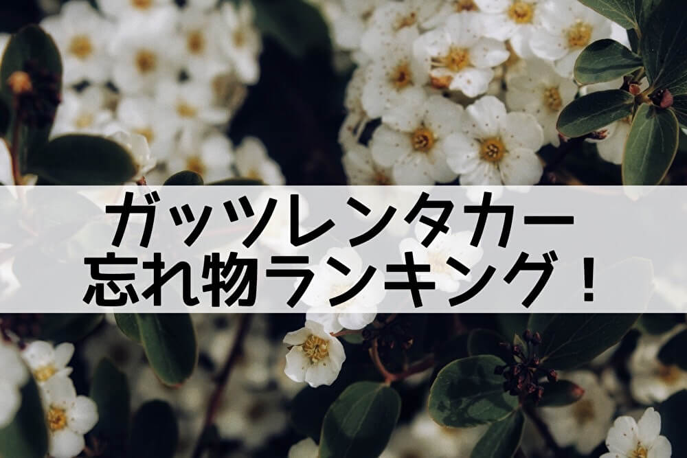 ガッツレンタカー忘れ物ランキング