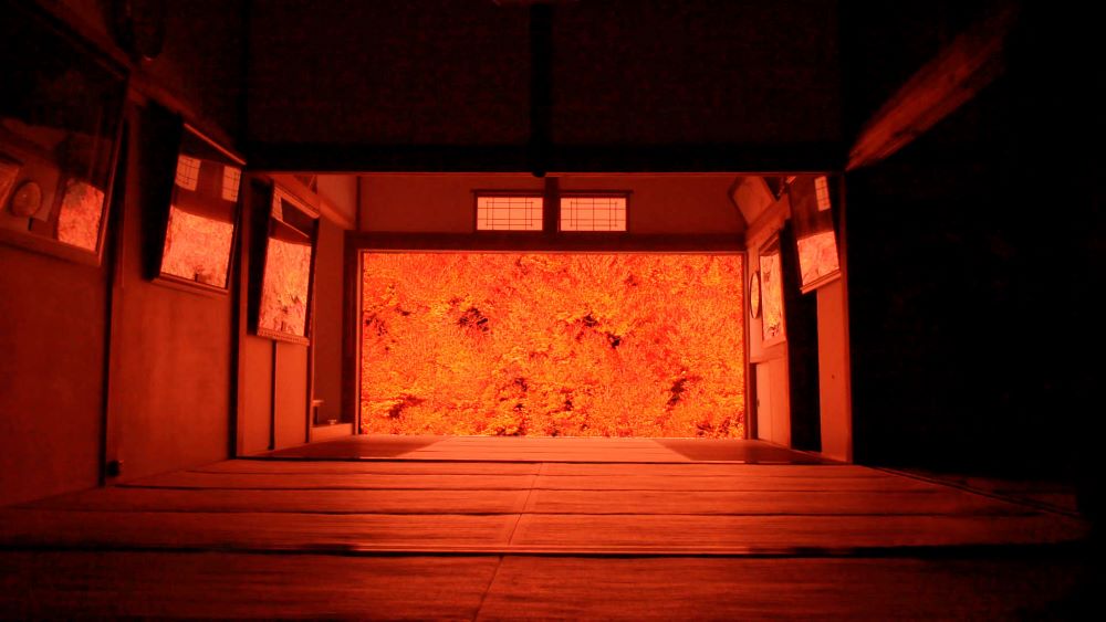 【加古川店】ドウタンツツジの紅葉　安国寺