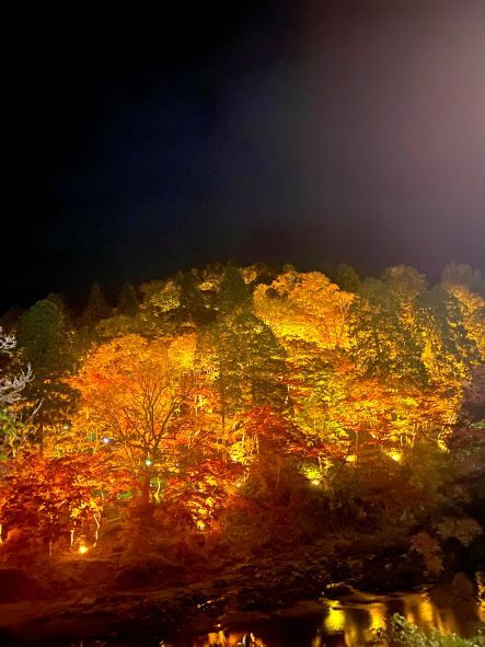 【ナゴヤドーム前矢田店】香嵐渓(愛知県豊田市/観光)