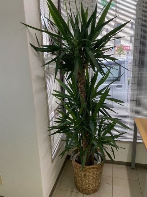 【高城駅前店】週末のお礼と今週のお願い