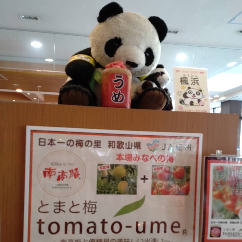 【枚方店】紀ノ川SA（和歌山）