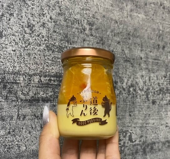 【新前橋駅前店】道後ぷりん