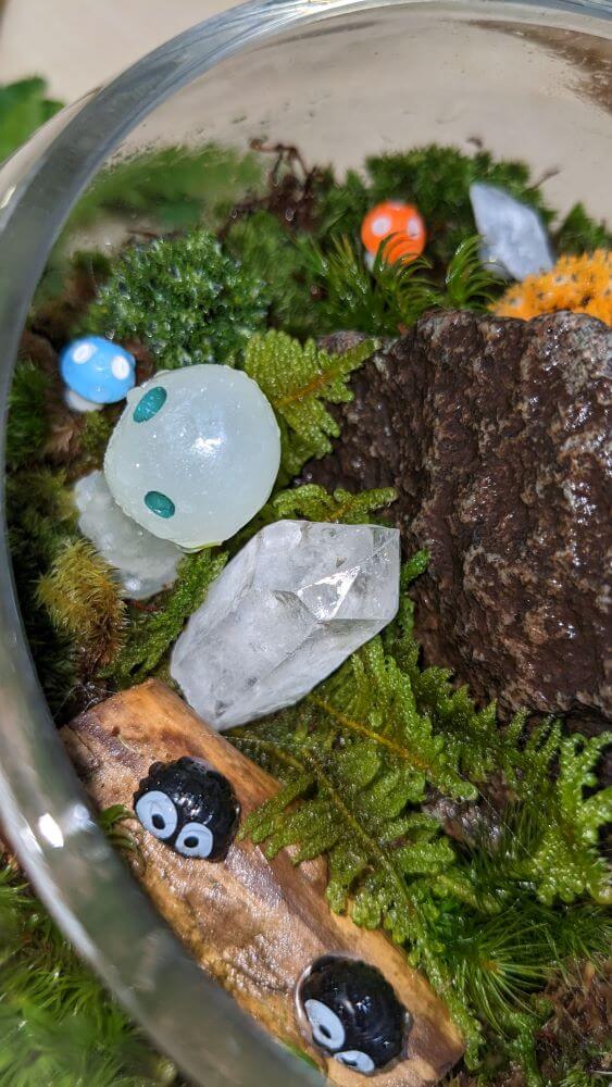 【加古川店】小さな苔屋さん