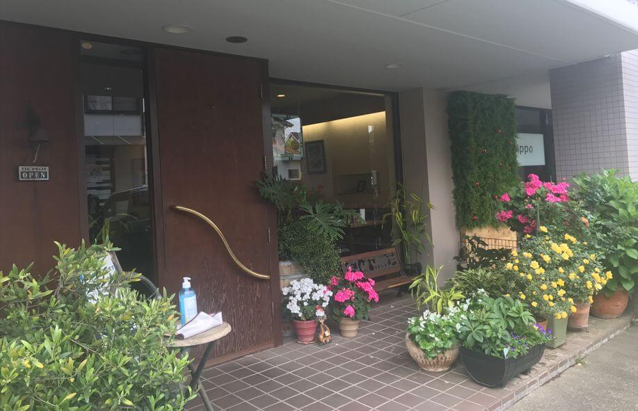 【松戸店】プリムローズ