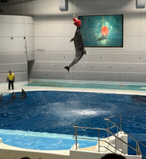 【大分駅前店】いおワールドかごしま水族館