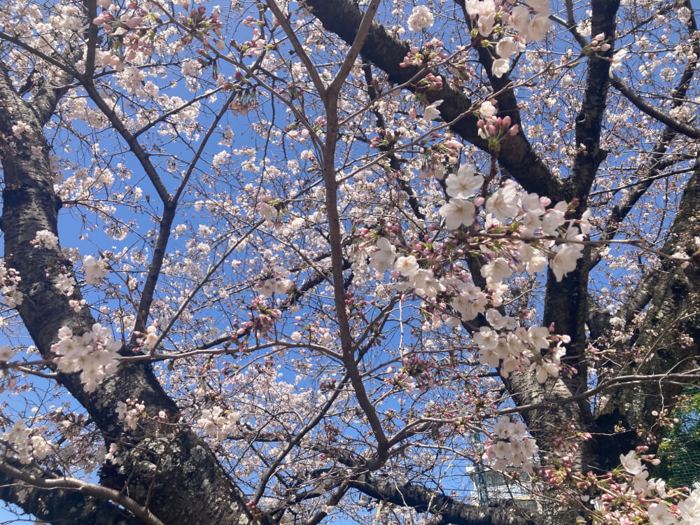 【高城駅前店】今日から新学期♪