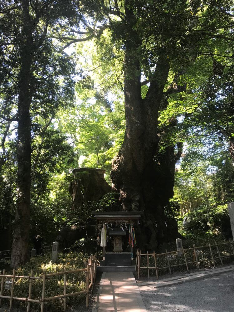 【ガッツレンタカー豊明西川町店】熱海へドライブ