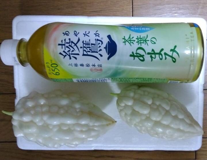 【高城駅前店】白ゴーヤ収穫！