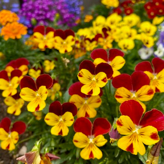 【高城駅前店】✨✨長期利用のお客様大歓迎✨✨