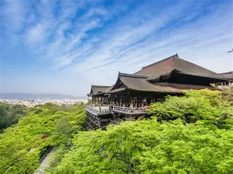 【岩倉店】🏝️レンタカーがおすすめな5つの理由🌴観光編