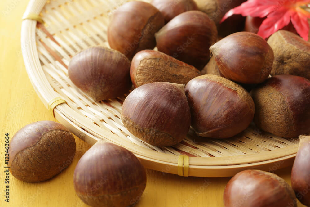 【岩倉店】🍂東海三県で味わう絶品“栗スイーツ”旅｜岐阜・愛知・三重のおすすめを巡る