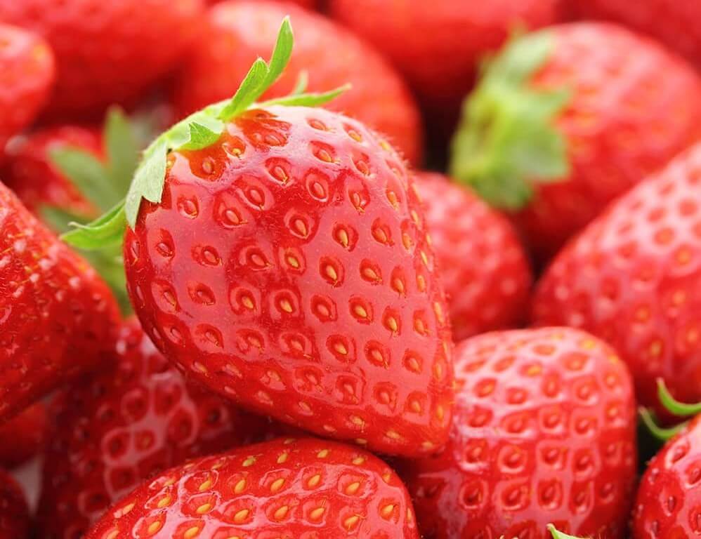 【石巻店】イチゴの宝庫🍓イチゴ狩り特集第2弾