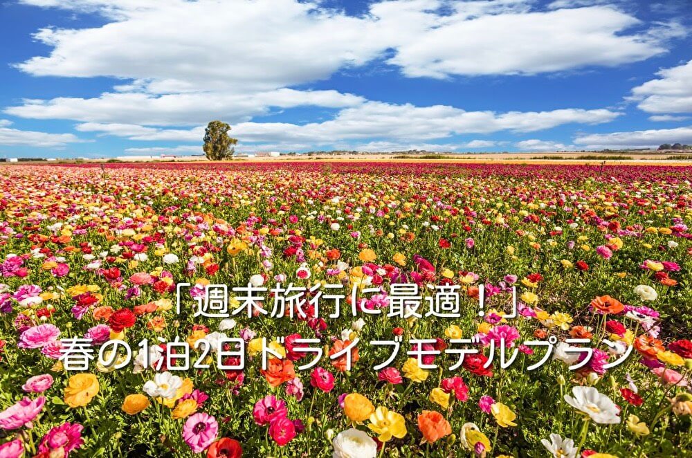 「週末旅行に最適！」春の1泊2日ドライブモデルプラン